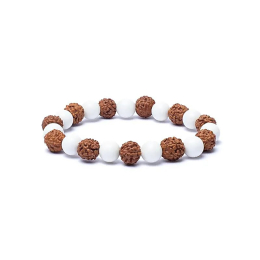 Braccialetto rudraksha/conchiglia